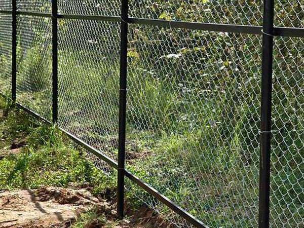 Сетка рабица — отличный материал для забора
